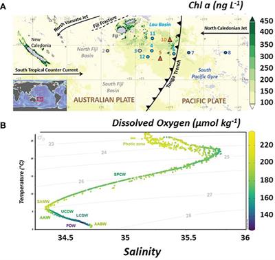 The role of humic-type ligands in the bioavailability and stabilization of dissolved iron in the Western Tropical South Pacific Ocean